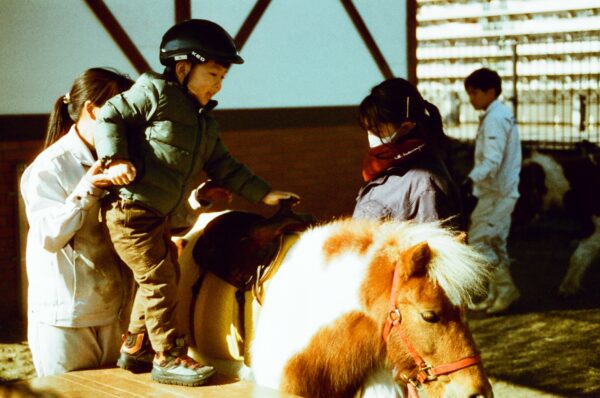 Pony, Child, Riding｜0164-79370036