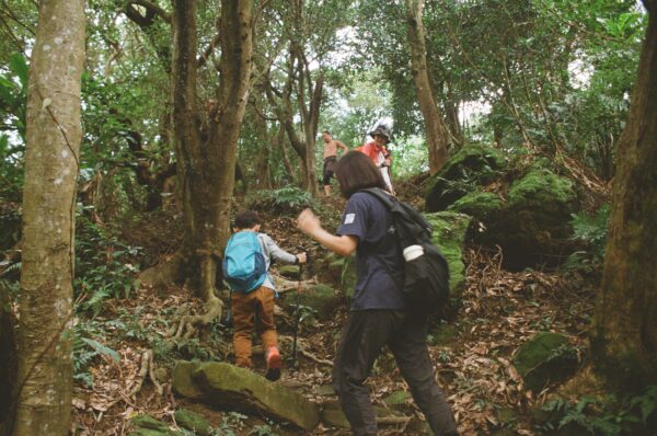 Hiking, Forest, Adventure｜0237-21100005