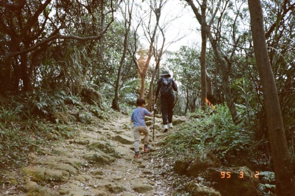 Hiking, Forest, People｜0247-004363610012