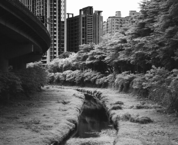 Infrared, River, City｜0190-44780002